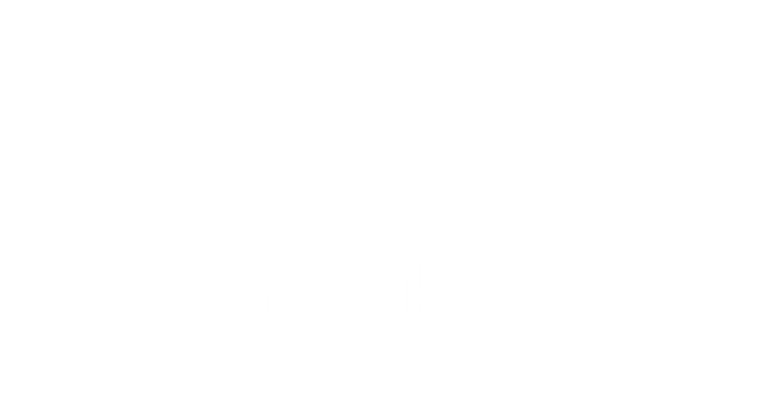 WordPress-logotype-alternative-white